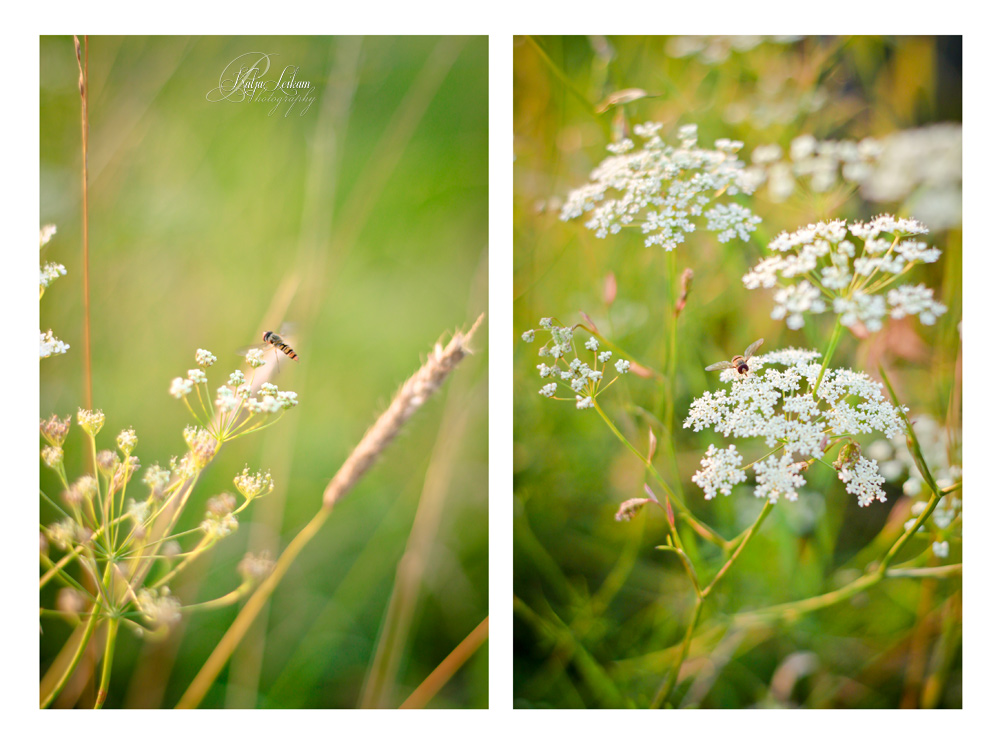 Frühling