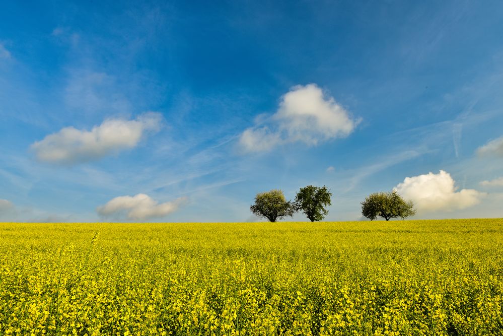 Frühling