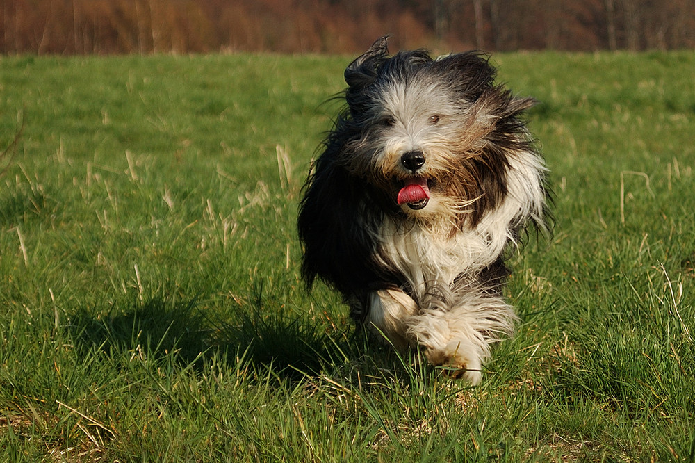 Frühling!