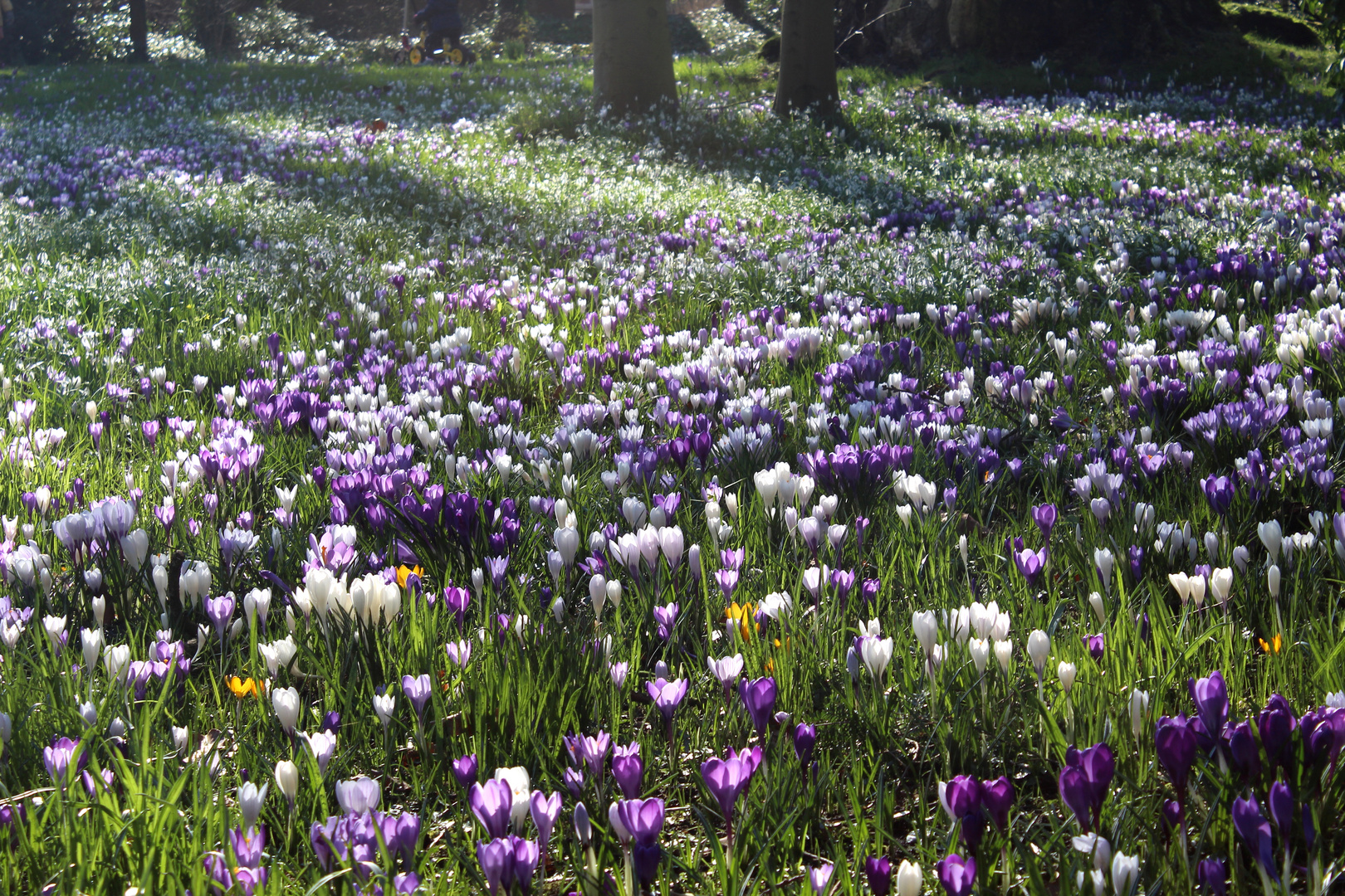 Frühling!