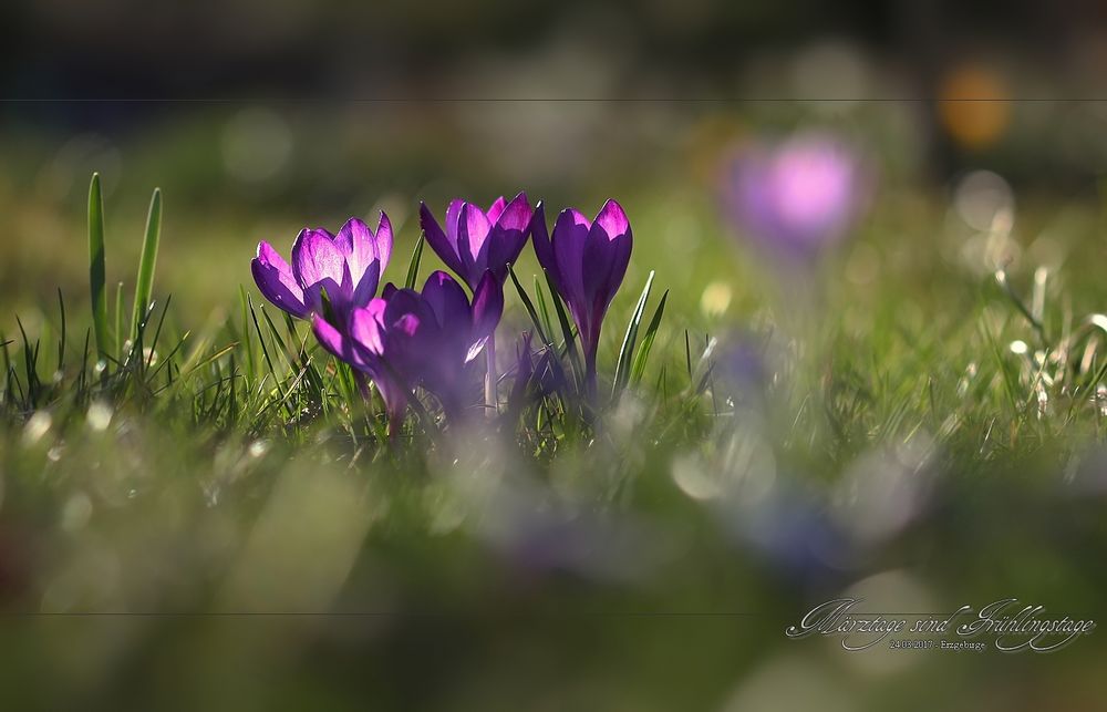 Frühling...