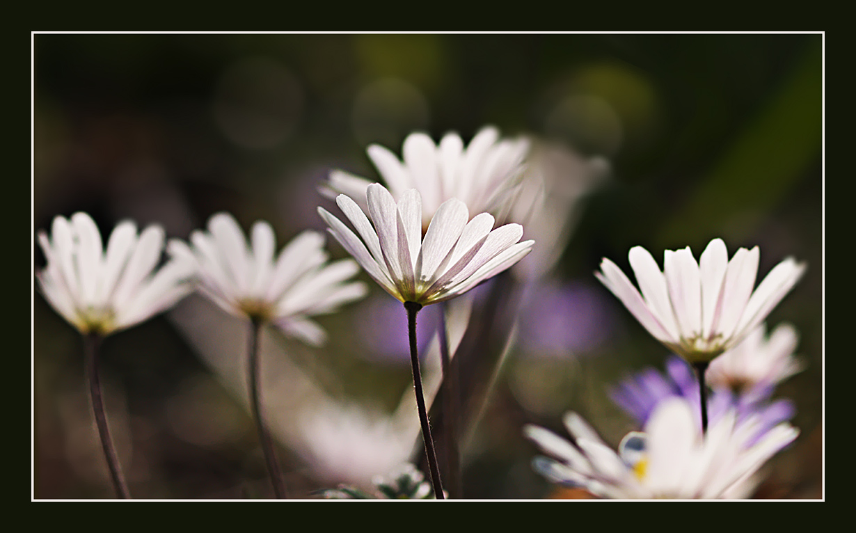 Frühling