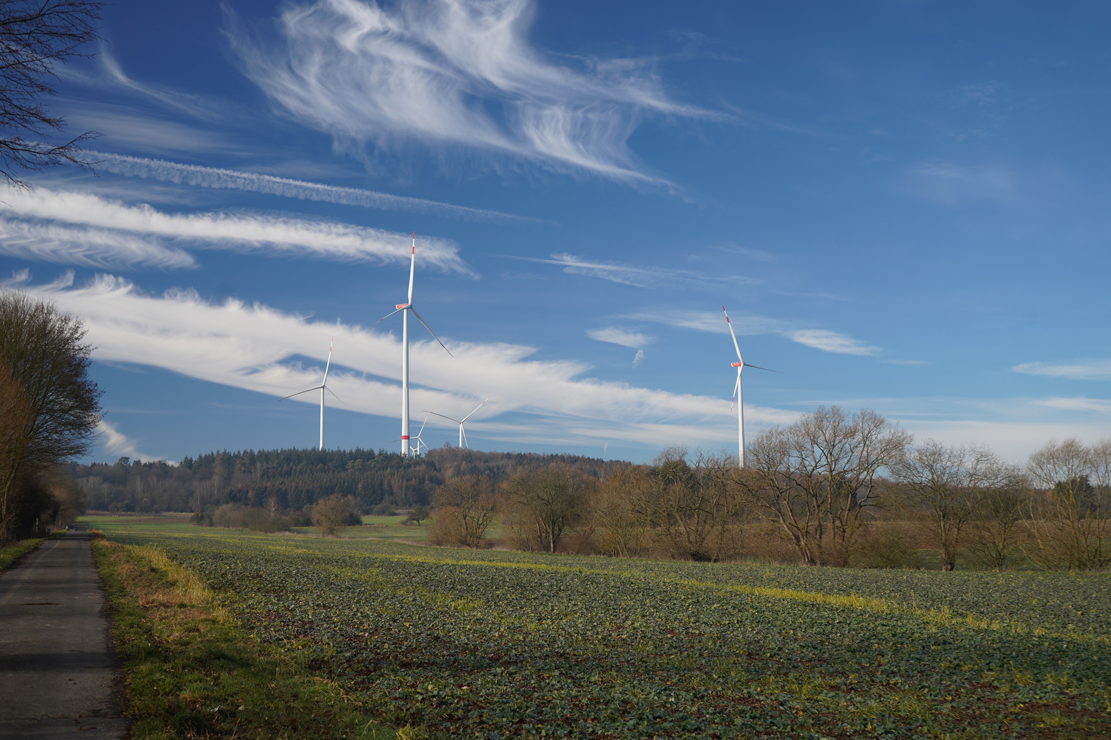 Frühling??? aber jetzt