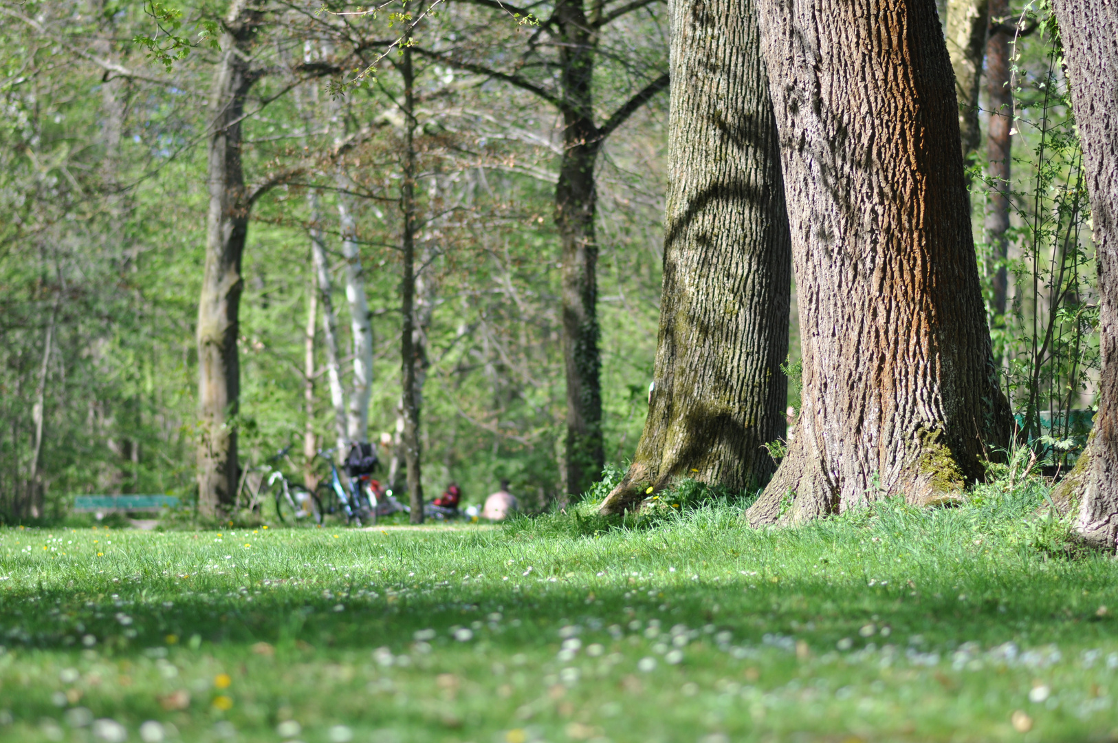 Frühling