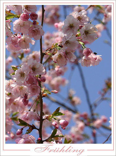 Frühling