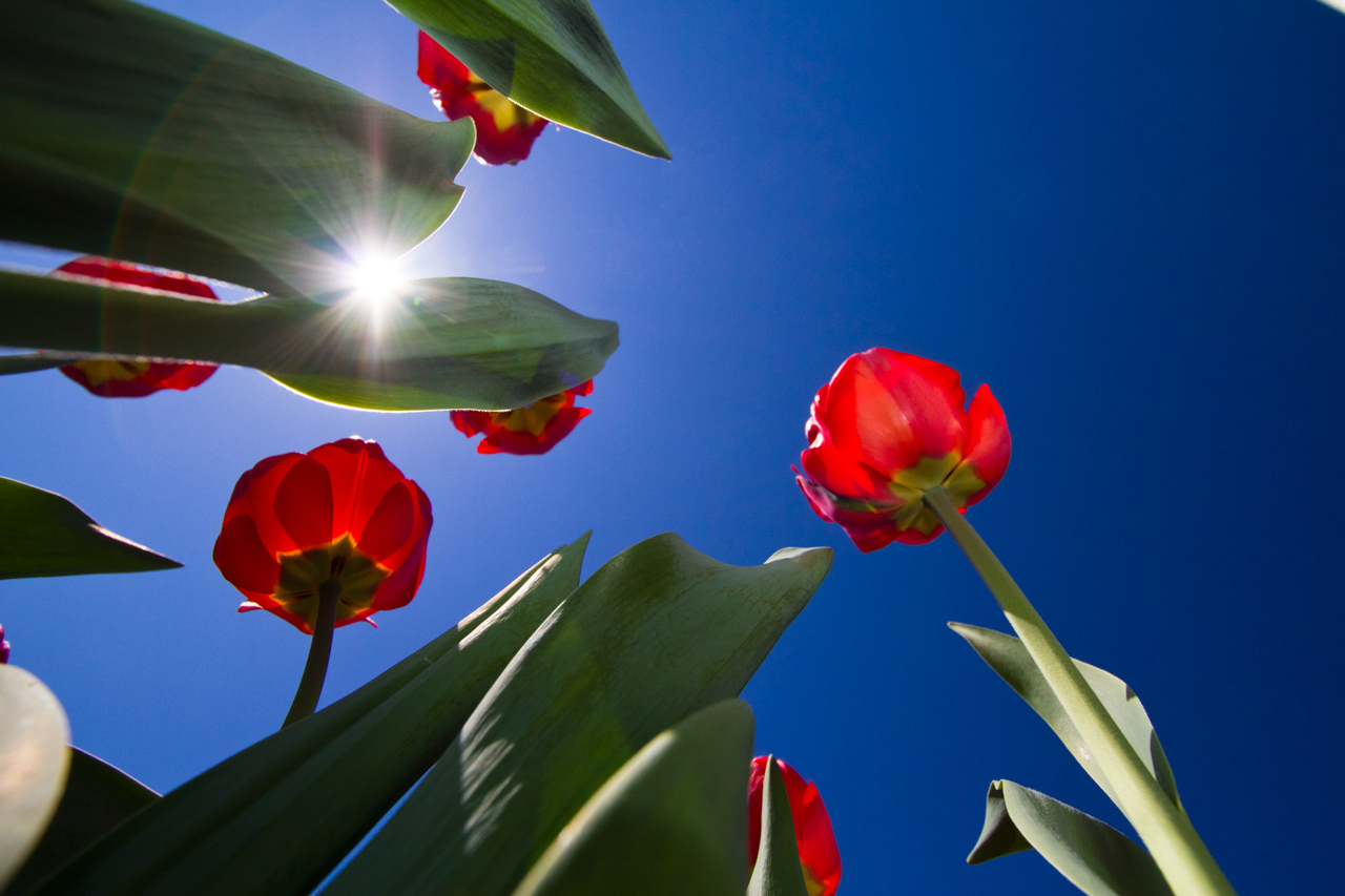 Frühling