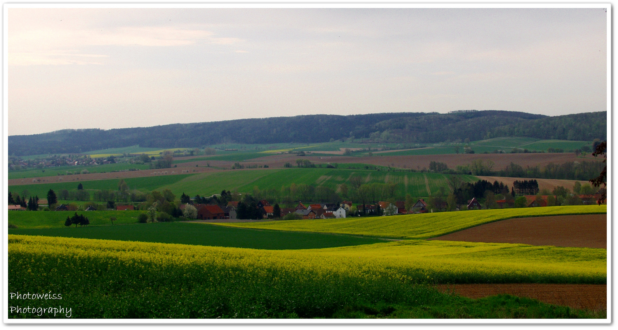 Frühling