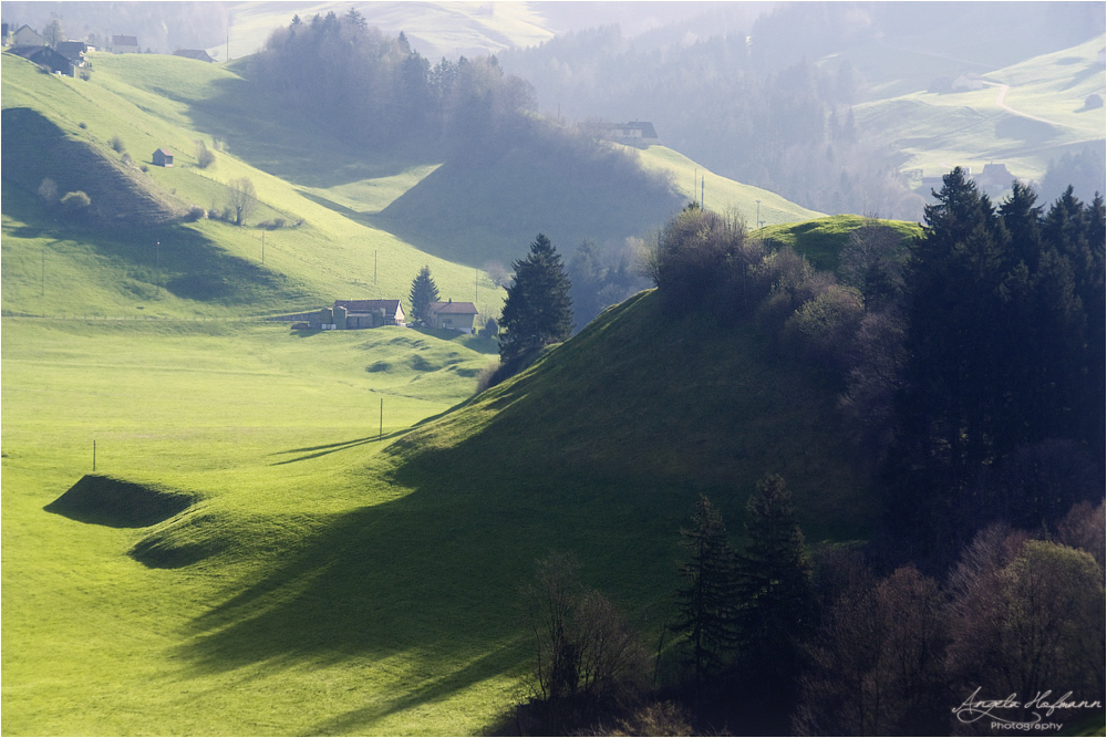 Frühling...