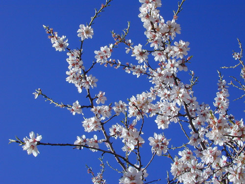 Frühling!