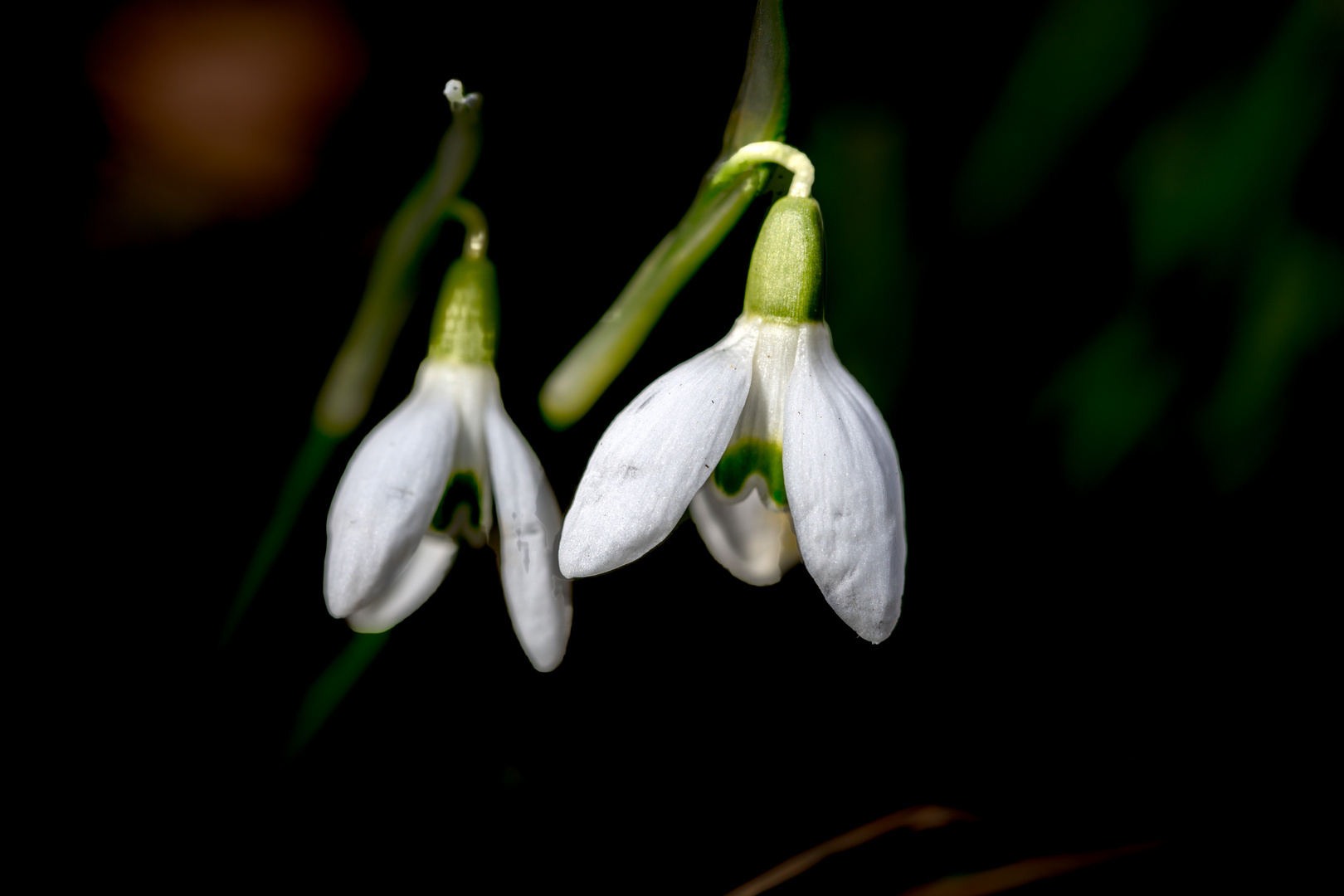 Frühling 