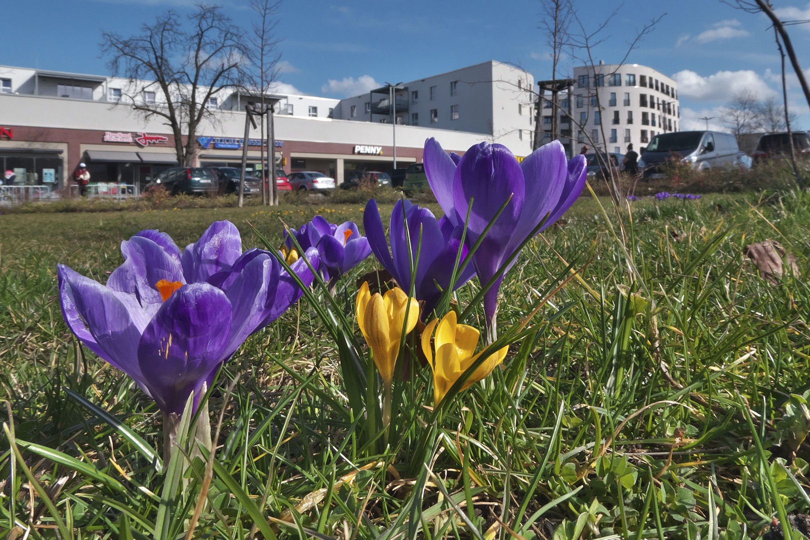 Frühling ...