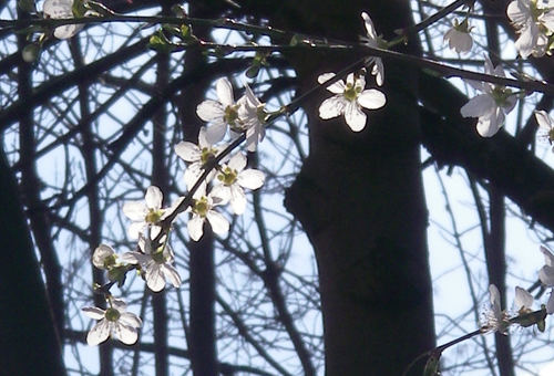 Frühling...