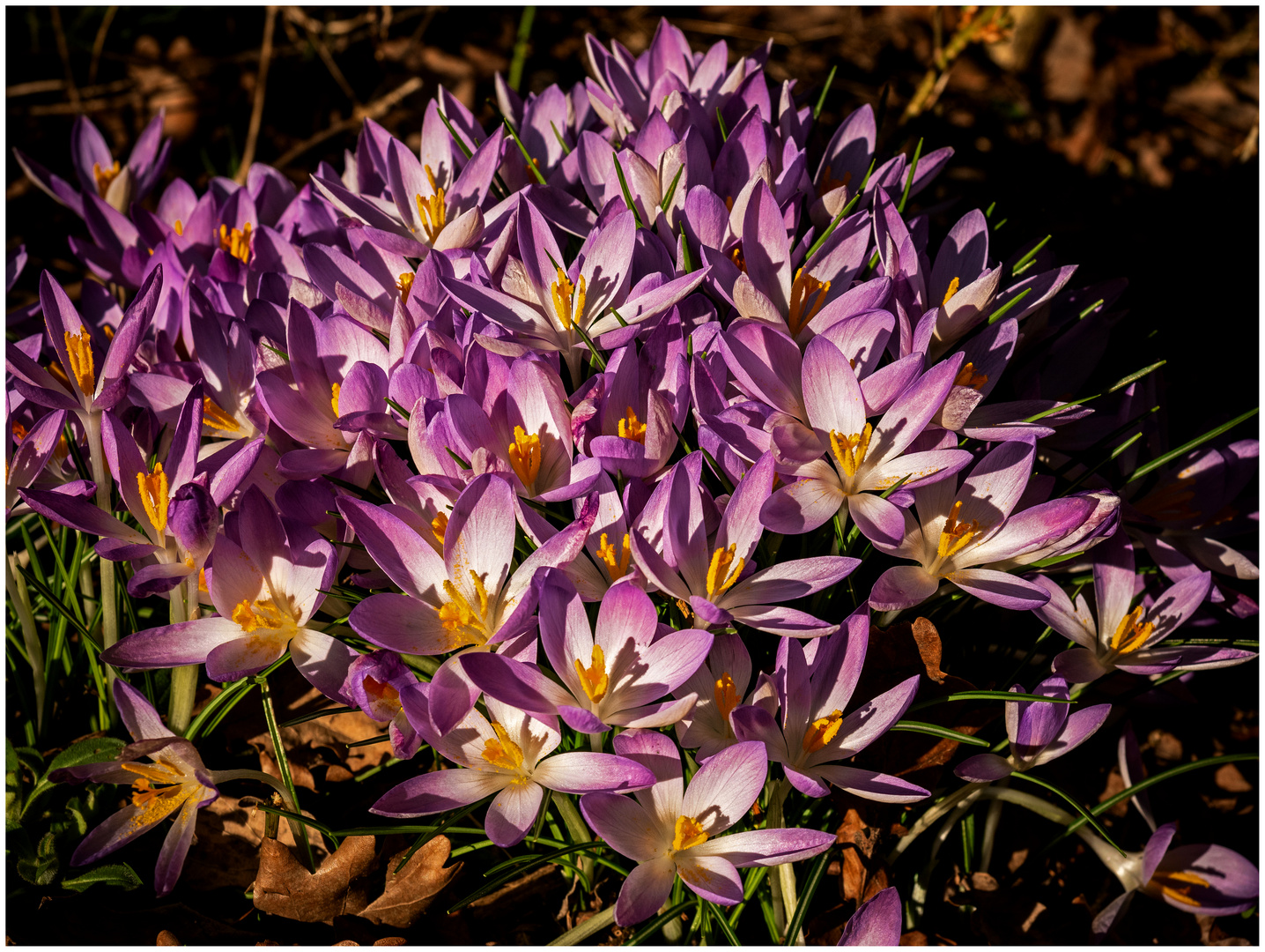 Frühling!