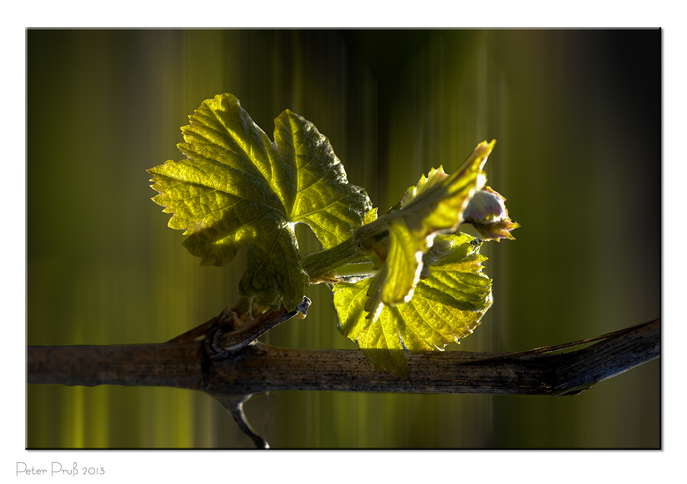 Frühling aller Orten_1