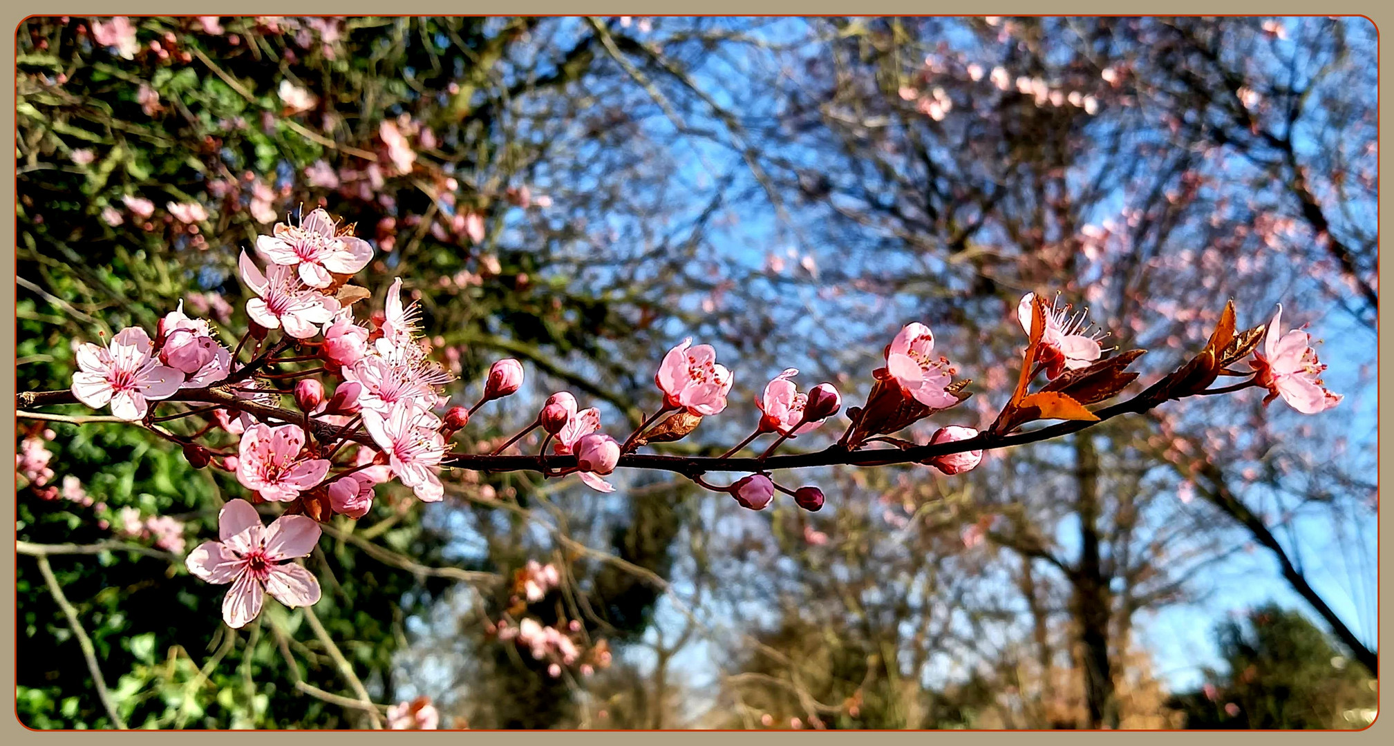 Frühling allerorten