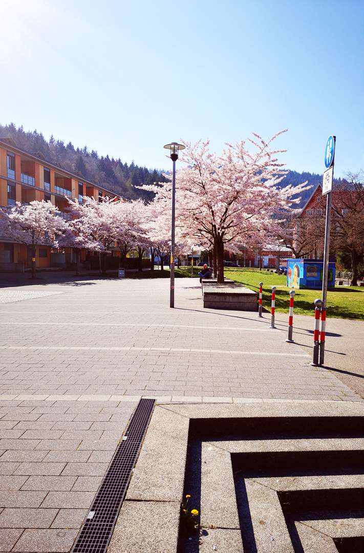 Frühling allerorten