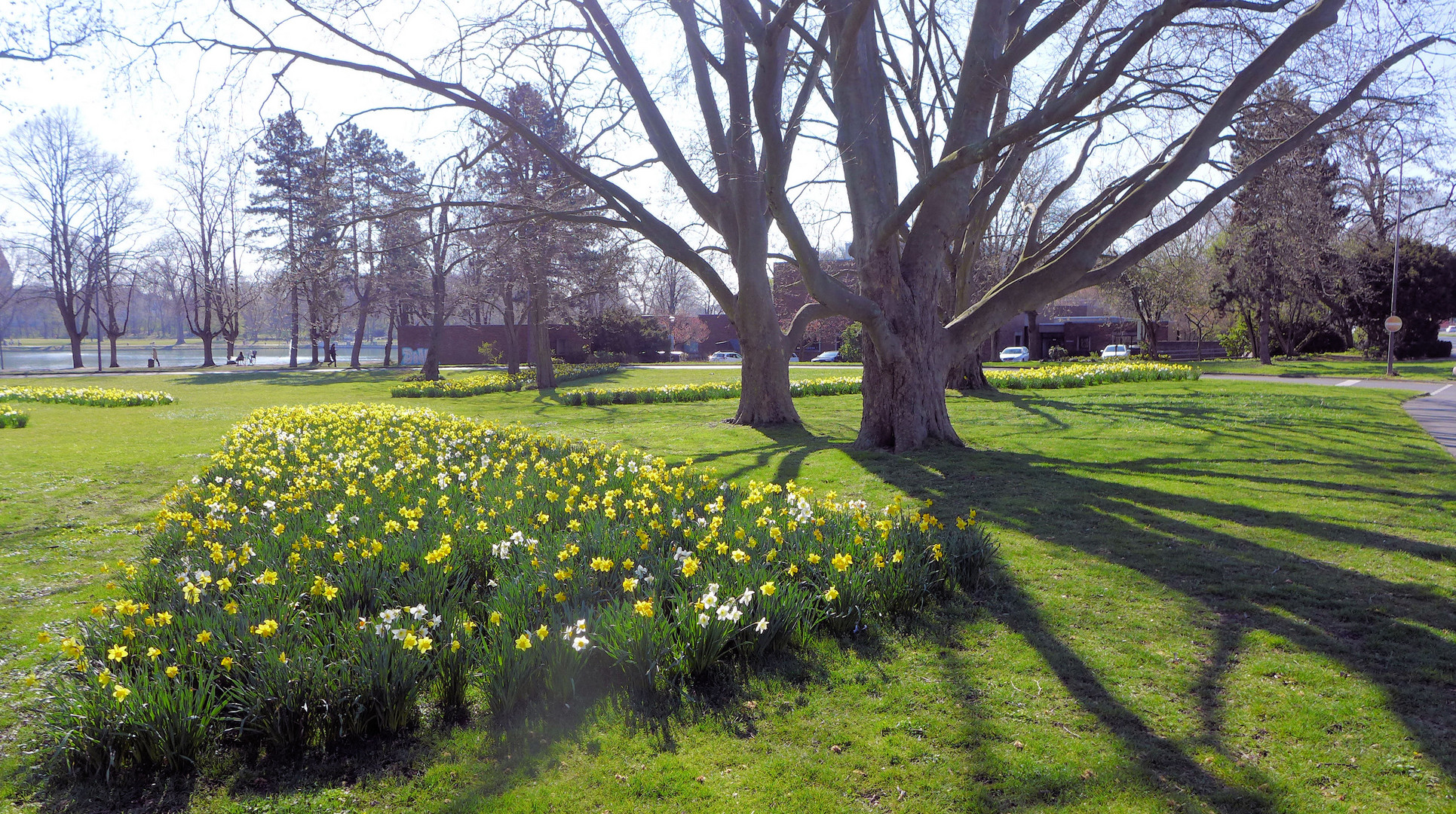 Frühling am Aachener Weiher