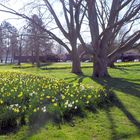 Frühling am Aachener Weiher