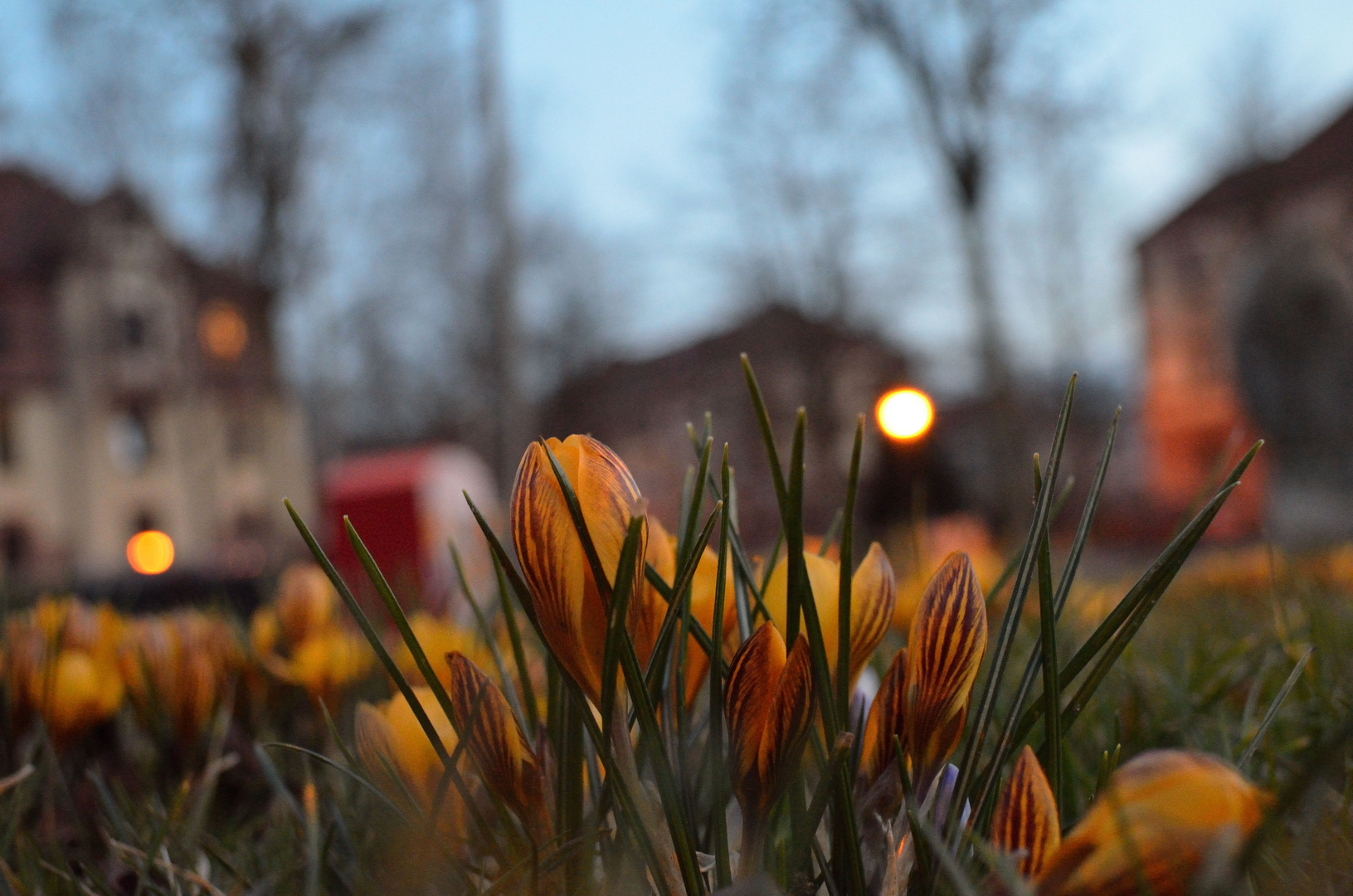 Frühling am Abend