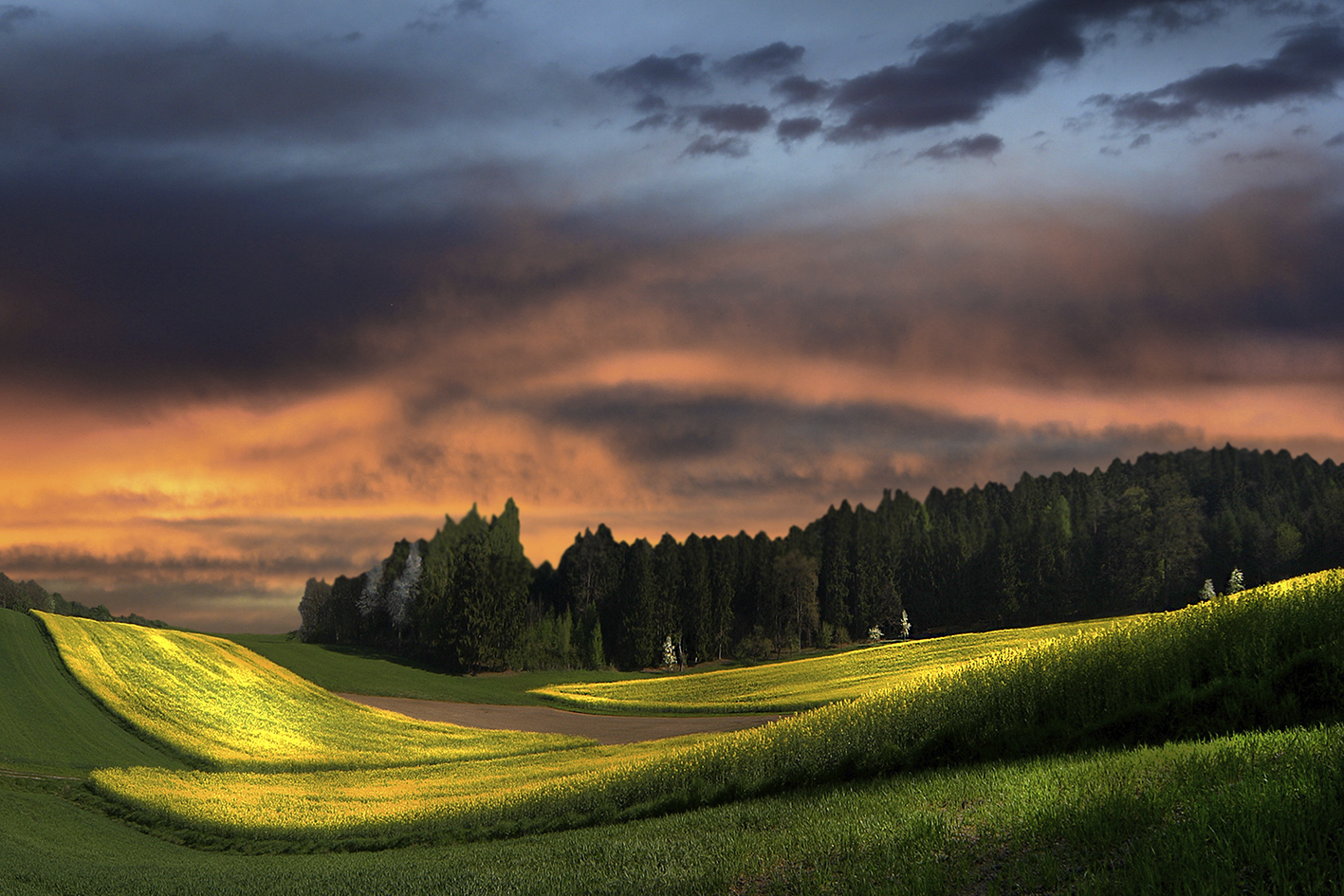 Frühling am Abend