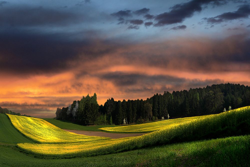 Frühling am Abend