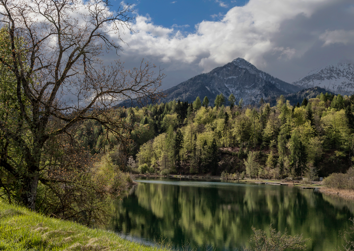 Frühling am Aichwaldsee