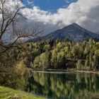 Frühling am Aichwaldsee