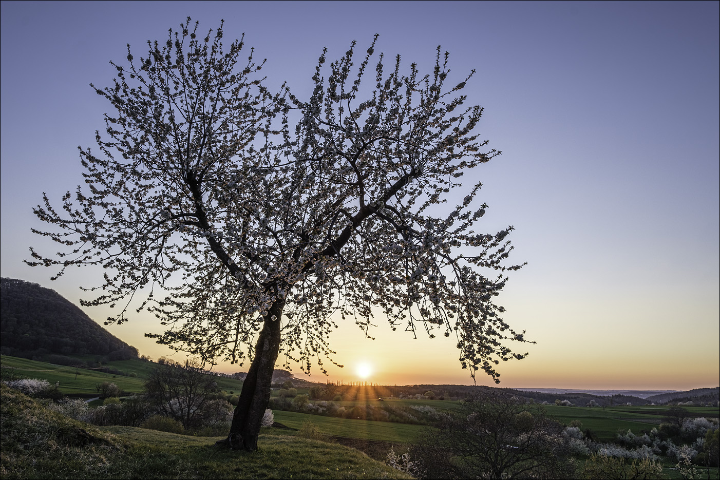 Frühling am Albtrauf