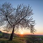 Frühling am Albtrauf