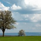 Frühling am Albtrauf