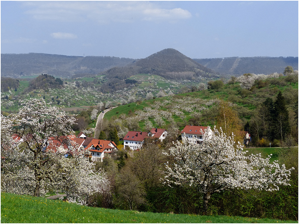 Frühling am Albtrauf