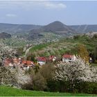 Frühling am Albtrauf