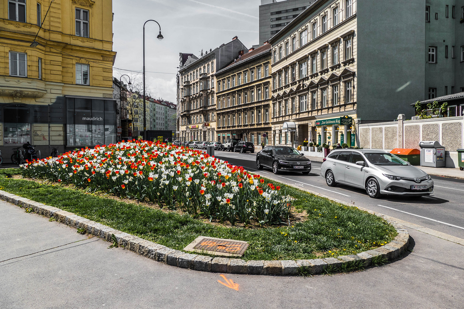 Frühling am Alsergrung