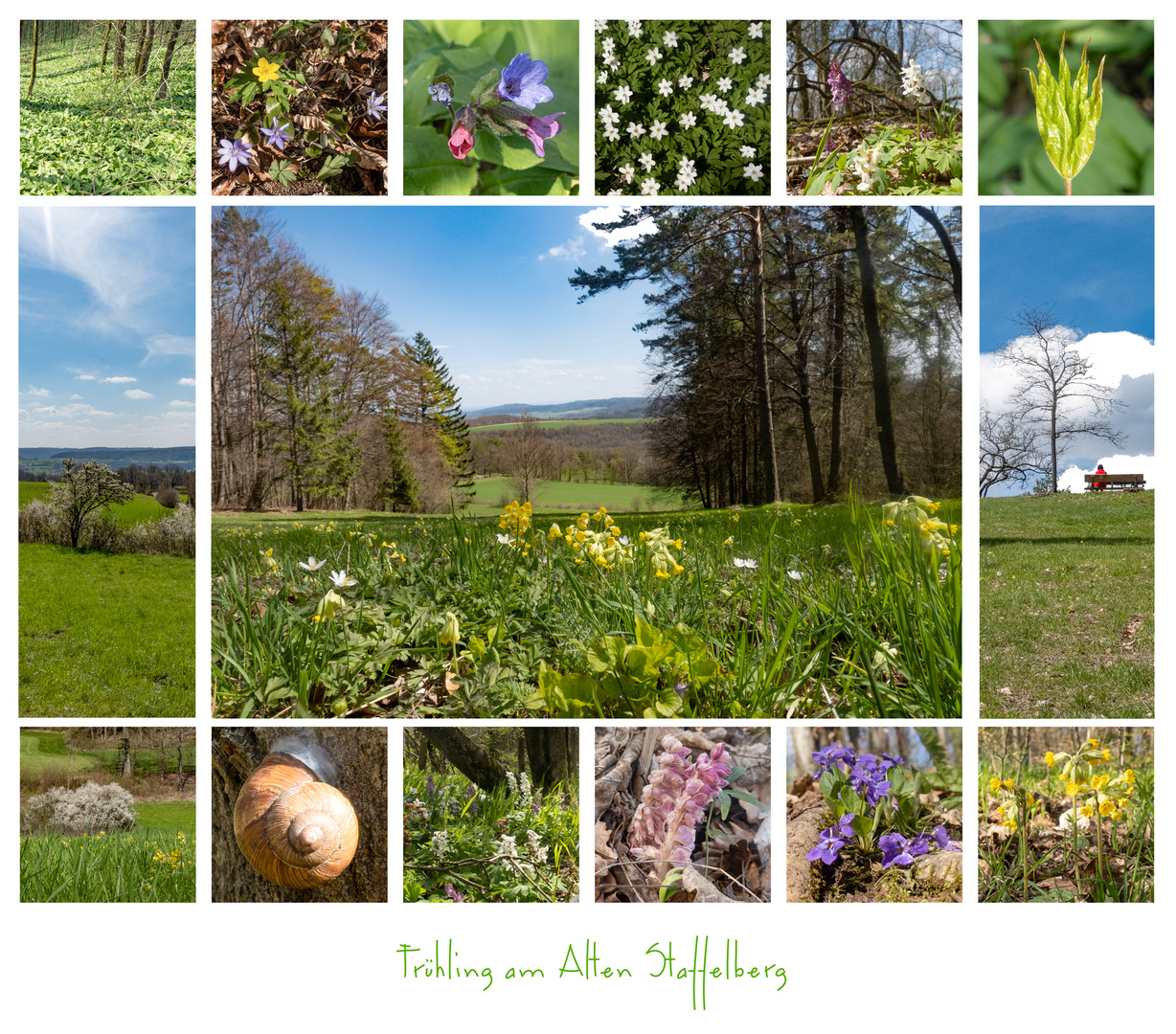 Frühling am Alten Staffelberg