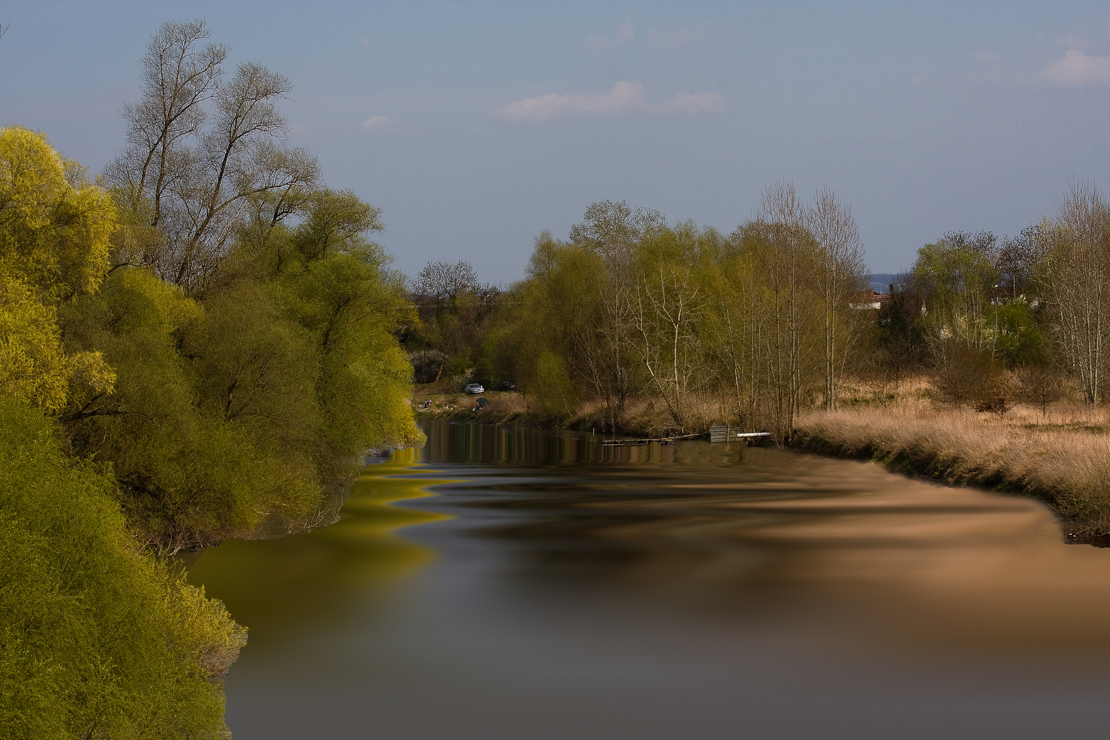 Frühling am Altrhein