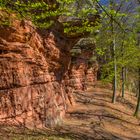 Frühling am Altschlossfelsen