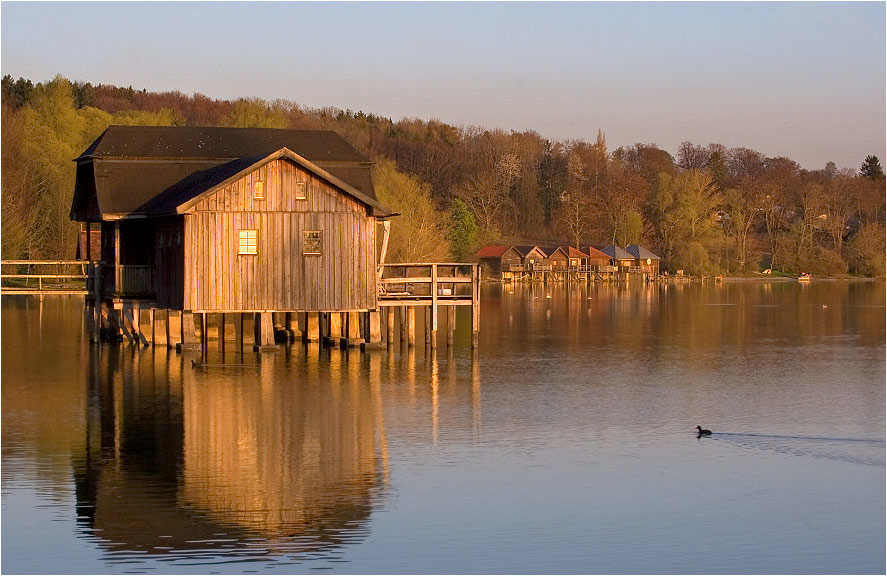 Frühling am Ammersee