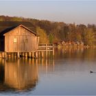 Frühling am Ammersee