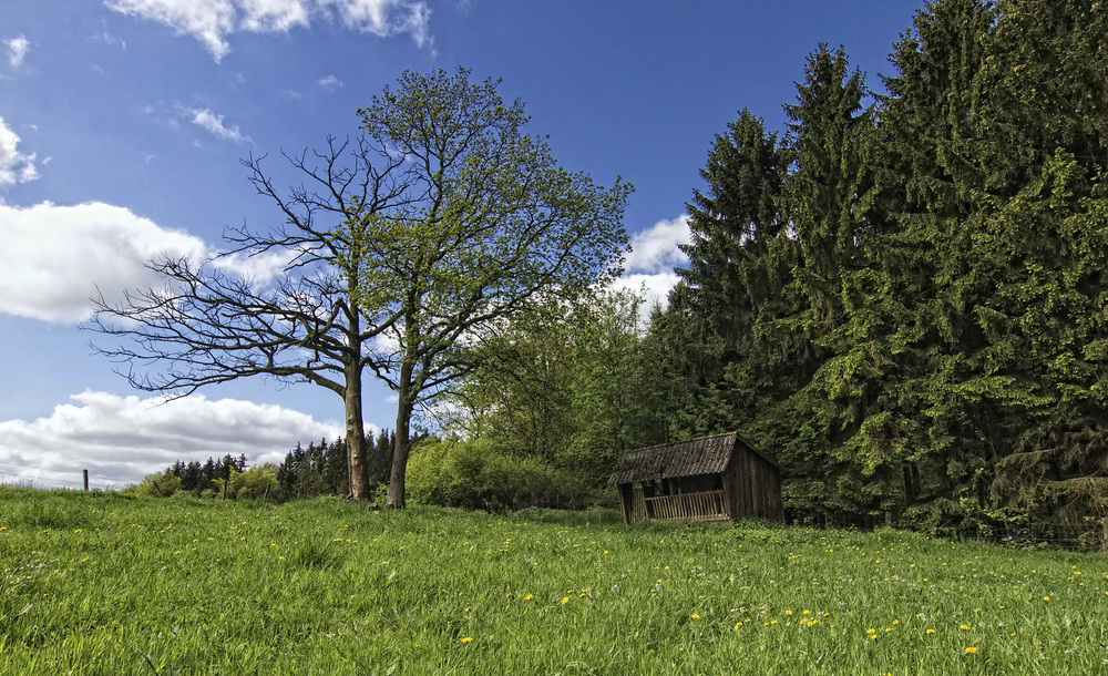 Frühling am Arney 03