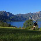 Frühling am Attersee ...