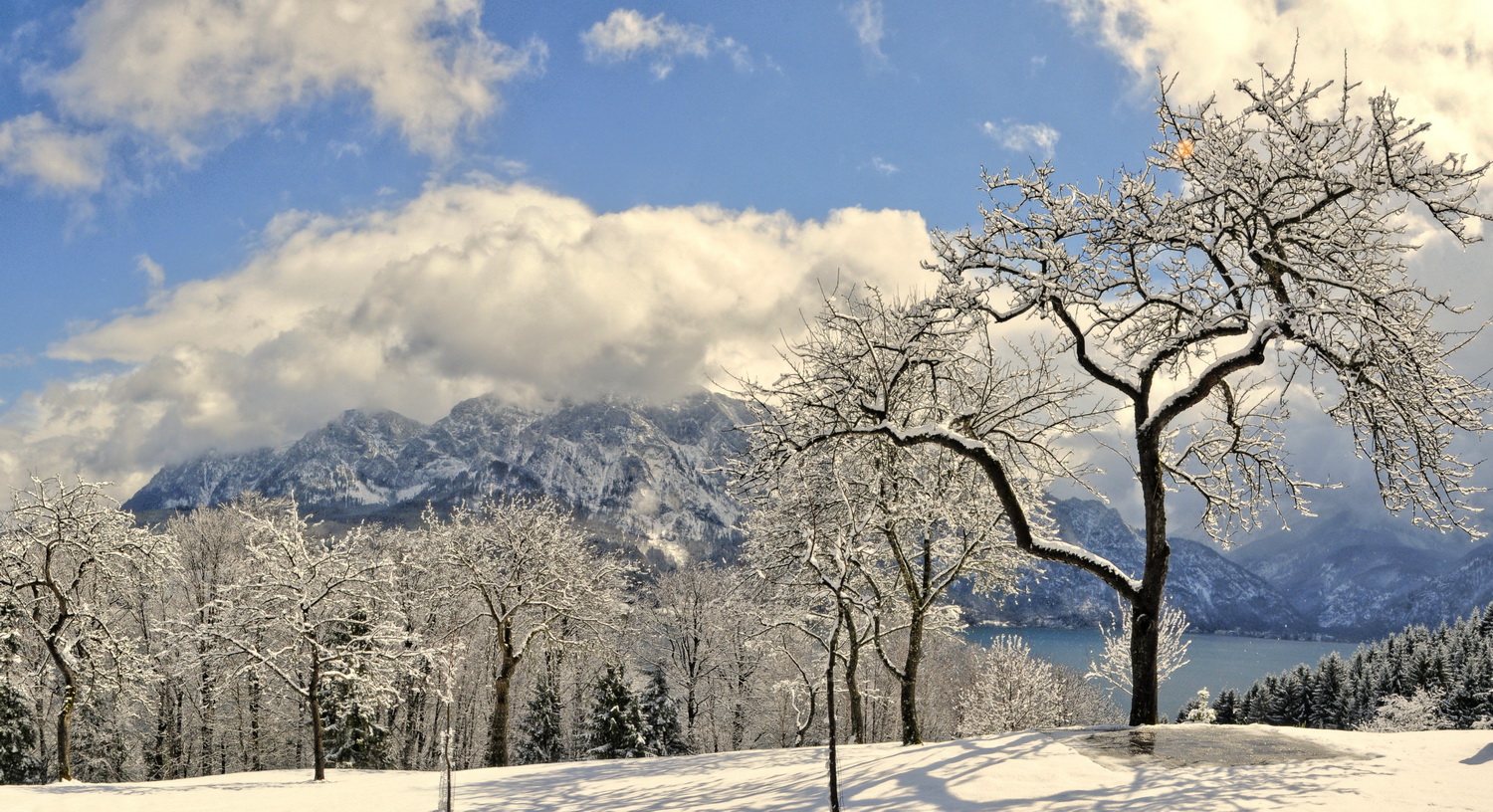 Frühling am Attersee