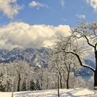 Frühling am Attersee