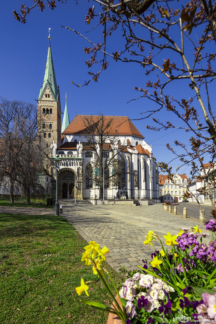 Frühling am Augsburger Dom