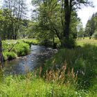 Frühling am Bach