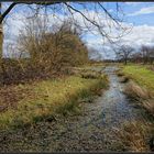 Frühling am Bach