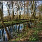 Frühling am Bach  II