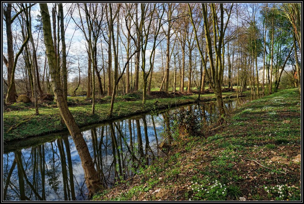 Frühling am Bach  II