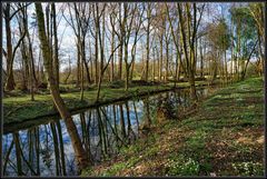 Frühling am Bach  II