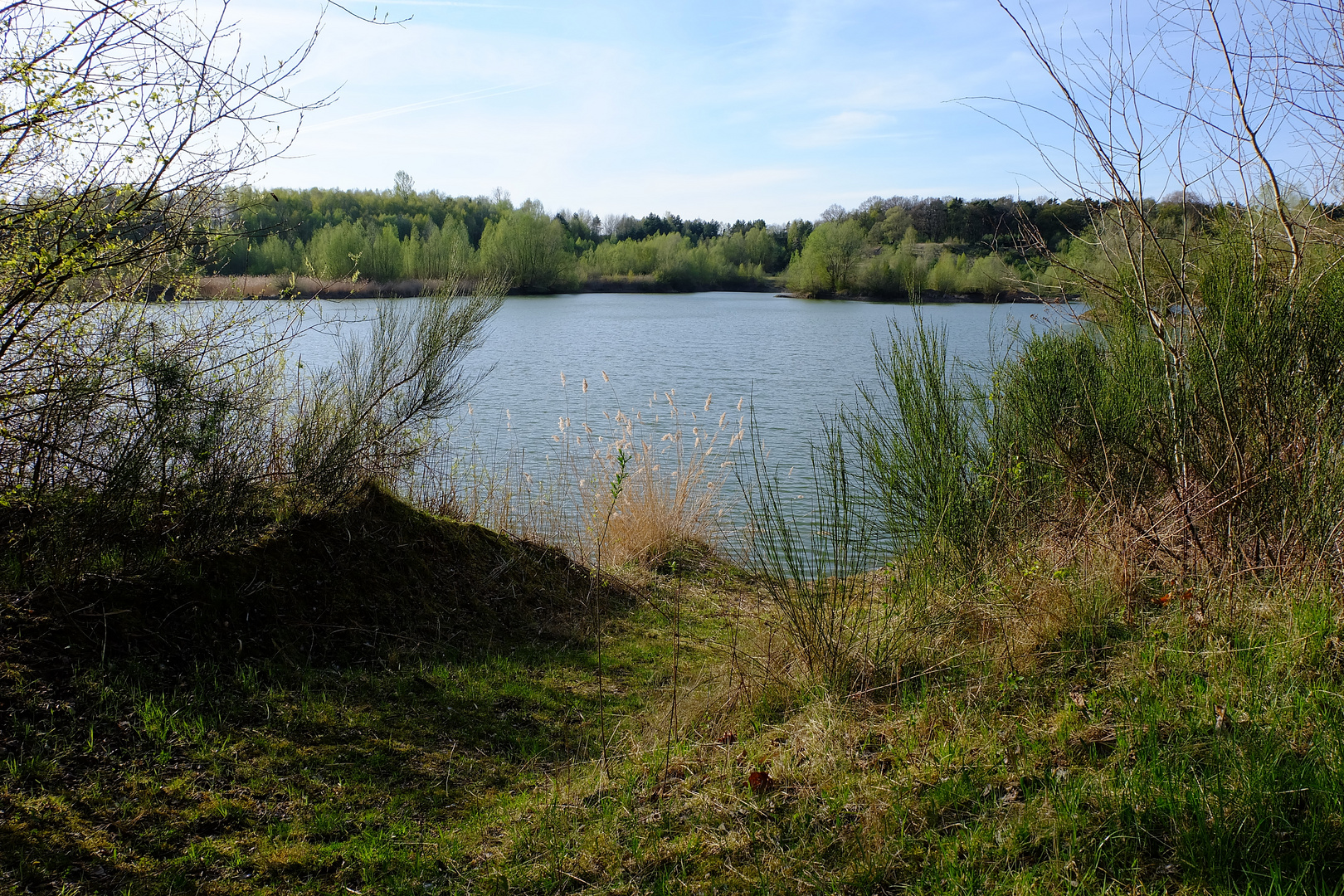 Frühling am Baggersee