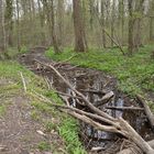 Frühling am Baggersee Grötzingen